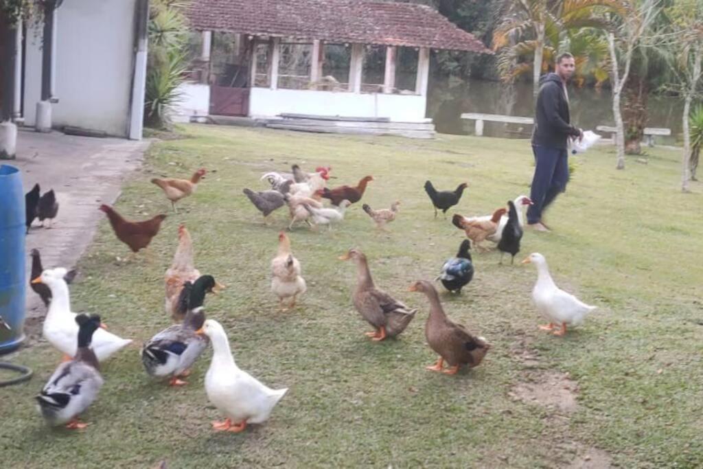 Sitio Paraiso Verde Juquitiba Bagian luar foto