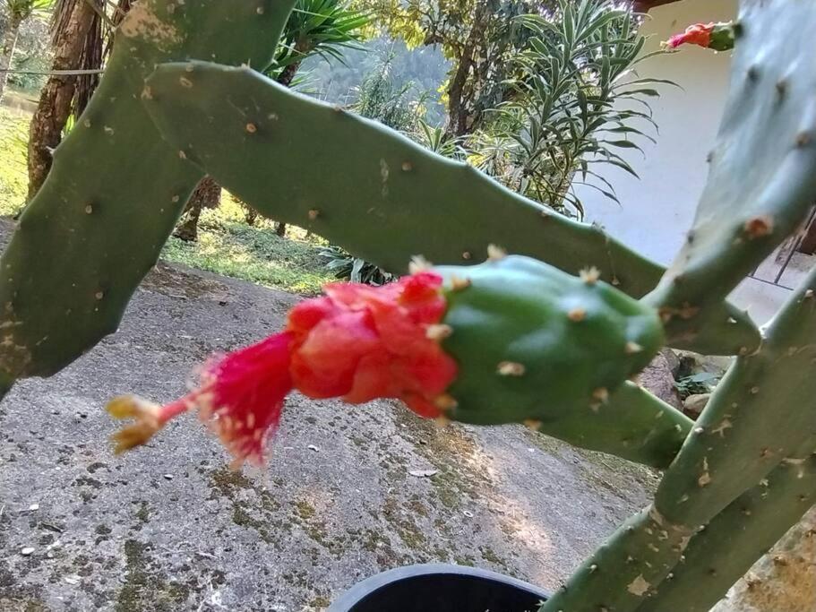 Sitio Paraiso Verde Juquitiba Bagian luar foto