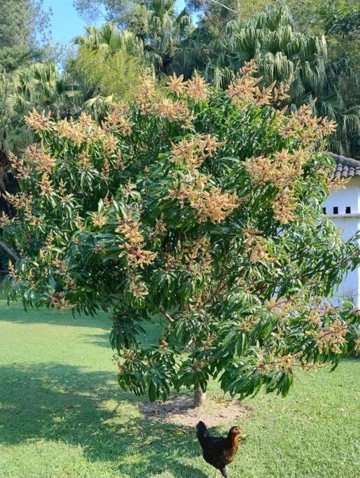 Sitio Paraiso Verde Juquitiba Bagian luar foto