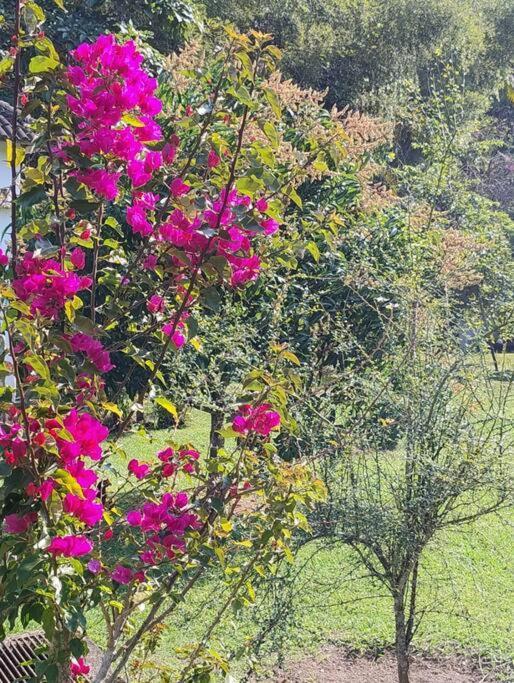 Sitio Paraiso Verde Juquitiba Bagian luar foto